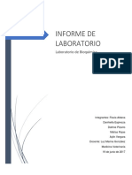 Informe Bioquímica