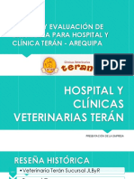 Análisis y Evaluación de Estrategia para Clínica Terán