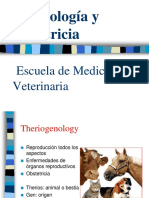 01- Ginecologia y Obstetricia