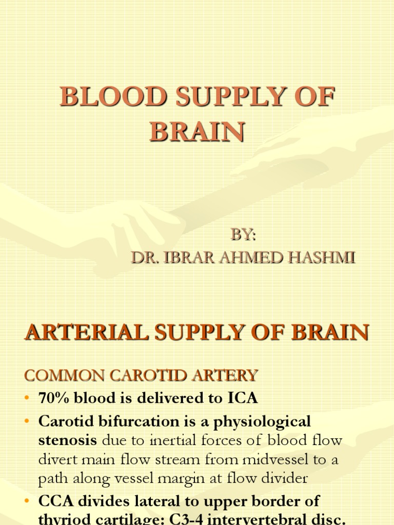 Blood Supply of Brain | Download Free PDF | Common Carotid Artery ...