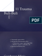 Modul 11 Trauma Buli-Buli