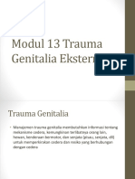 Modul 13 Trauma Genitalia Eksterna