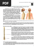 NEUROANATOMIA 02 - Macroscopia da Medula Espinhal - MED RESUMOS 2012.pdf