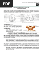 NEUROANATOMIA 07 - Microscopia do Mesencéfalo (2012).pdf