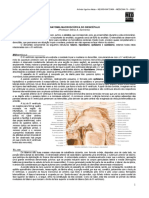 NEUROANATOMIA 10 - Macroscopia Do Diencéfalo - MED RESUMOS 2012 PDF