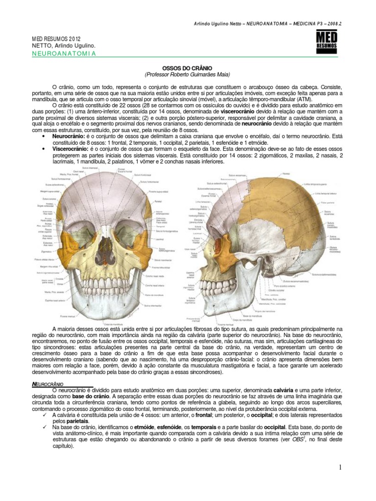 Neuroanatomia 22 Ossos Do Crânio Med Resumos 2012 Pdf Pdf
