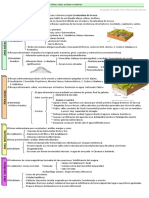 38743372-1-2-Esquema-guion-Variedad-litologica-dominio-siliceo-calizo-arcilloso-y-arcilloso-Relieves-de-erosion-diferencial.pdf