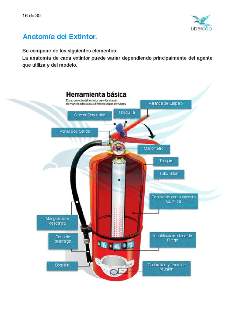 Control de Incendios 2 | PDF | Naturaleza