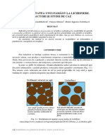 Susceptibilitatea Unui Pamant La Lichefiere. Factori Si Studii de Caz