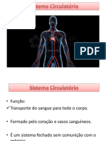 Anatomia