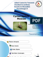 Cyclorraphos (1)