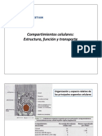 Clase 11 - Compartimientos Celulares