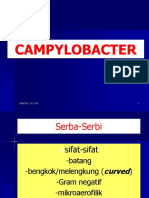 Campylobacter