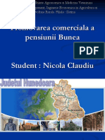 Pensiunea-Bunea Nicola Claudiu