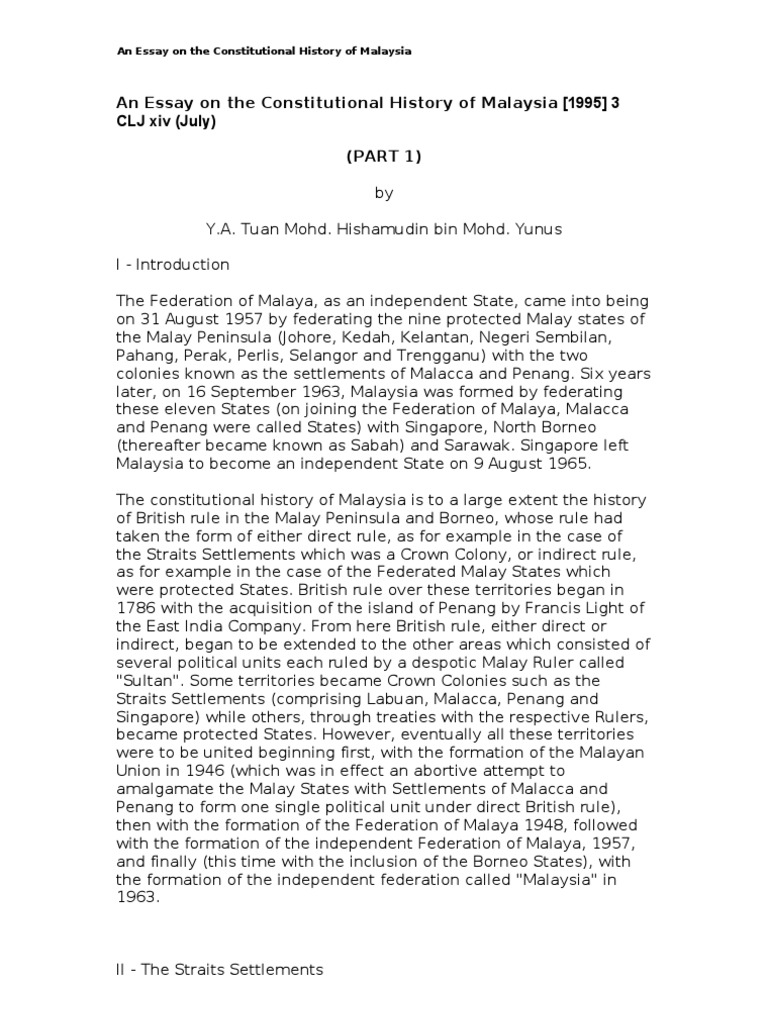 American essay lady new novel portrait