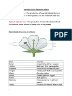 Reproduction in Flowering Plants and Humans