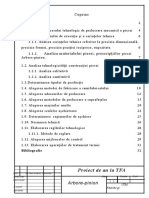 55369034-Proiect-TFA-arbore.doc