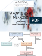 Apoptosis & Nekrosis: Monita Sugianto Dosen Pengampu: Edhyana K. Sahiratmadja, DR., PHD