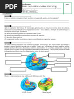 Trab Celula Animal e Vegetal