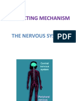 Connecting Mechanism: The Nervous System