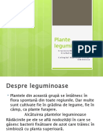 Plante Leguminoase