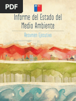 articles-52016_resumen_ejecutivo2011.pdf