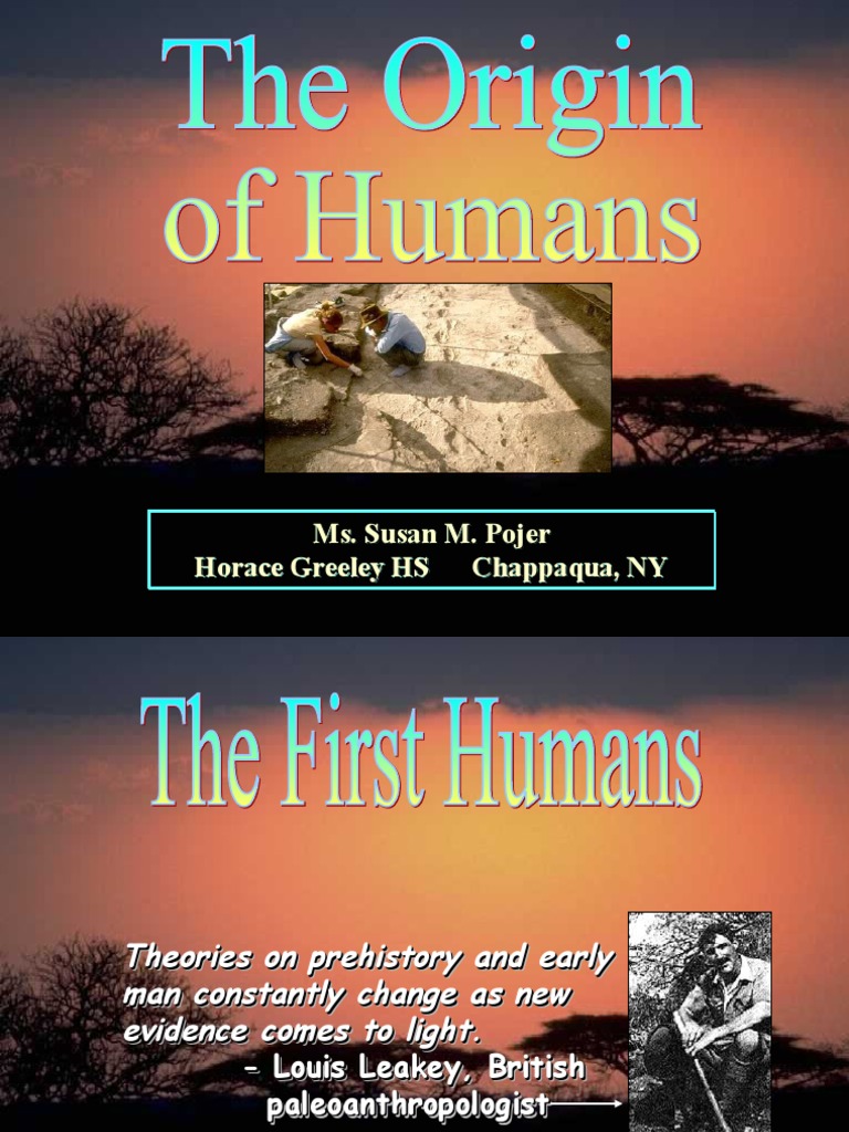 origin of humans essay