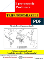 TRIPANOSOMIAZELE