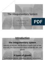 The Integumentary System: Lab Activity #2 Group 3