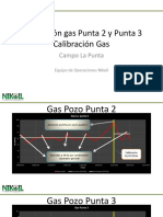 Gas La Punta PDF