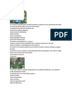 20 plantas medicinales