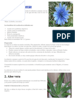 20 plantas medicinales