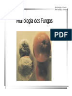 MorfologiadosFungos.pdf