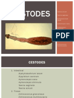 Cestode S