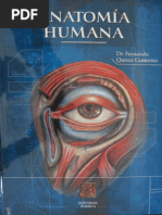 Atlas Fotografico de Anatomia Del Cuerpo Humano - Yokochi | PDF