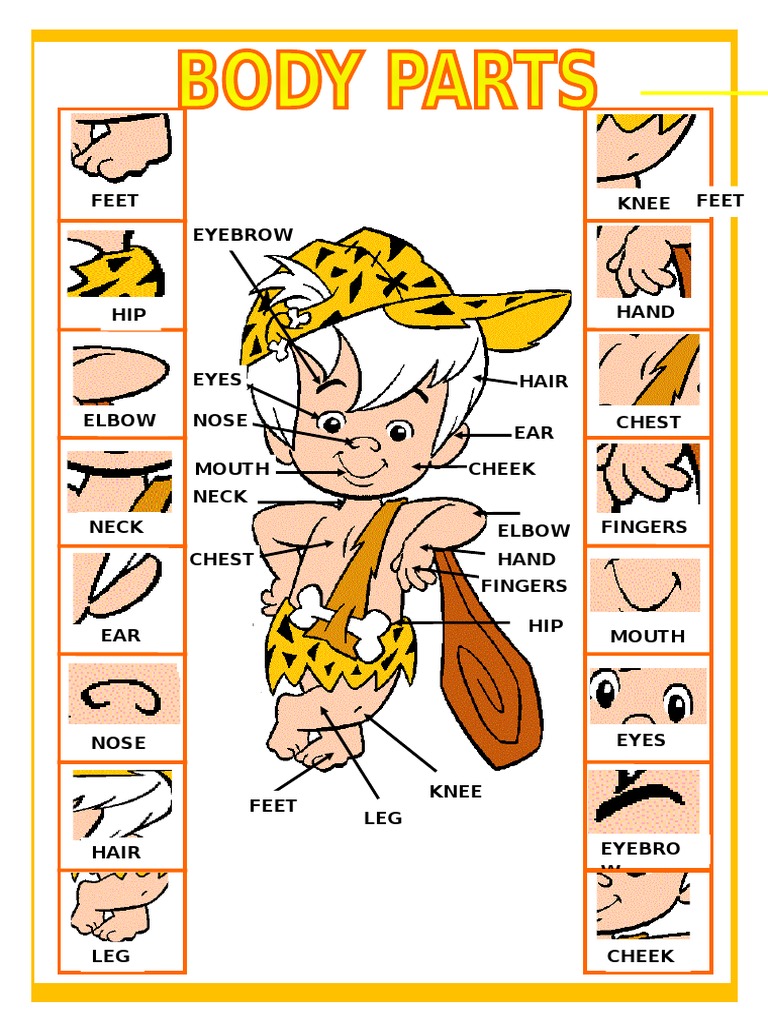 Human body parts diagram | PDF