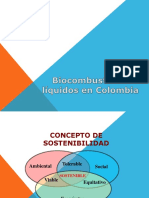 PRESENTACION BIOCOMBUSTIBLES (Copia en Conflicto de Virgilia Ortega Iriarte 2017-03-18)