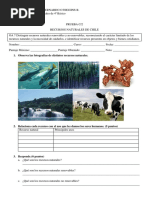 Prueba Recursos Naturales de Chile