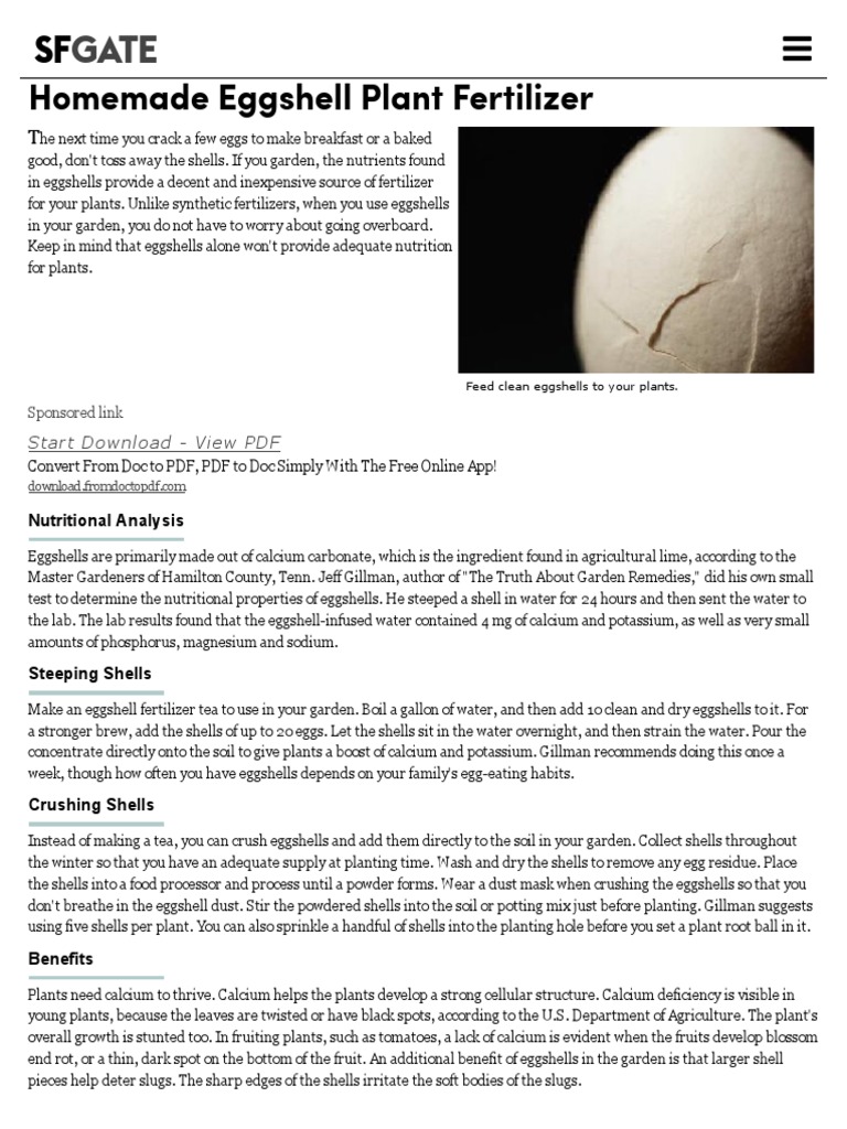 Homemade Eggshell Plant Fertilizer Home Guides SF Gate PDF
