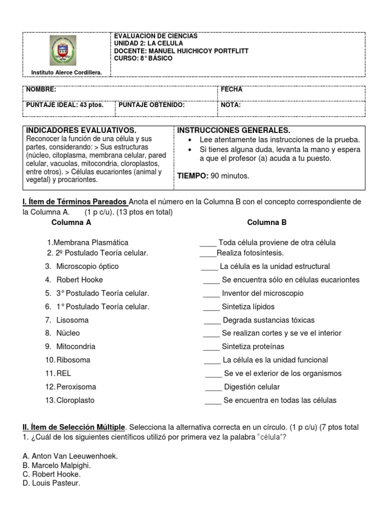 Evaluación de Ciencias: La Célula 8° Básico | PDF | Citoplasma ...
