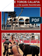 CORRIDA_DE_TOROS