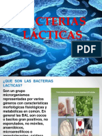 Bacterias Lácticas 1