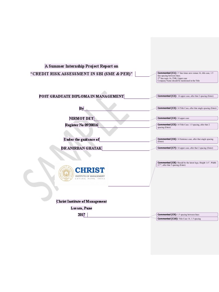 Credit Risk Assessment in SBI SME | PDF | Small And Medium Sized ...