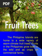 Fruit Bearing Trees
