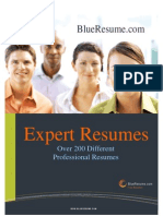 E-Book- BlueResume.com Expert Resume Book 4.0