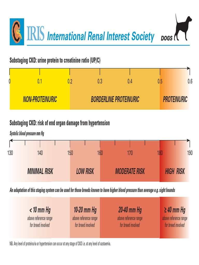 IRIS_2520A5_2520Cards Chronic Kidney Disease Creatinine