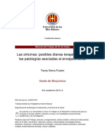 kk.pdf