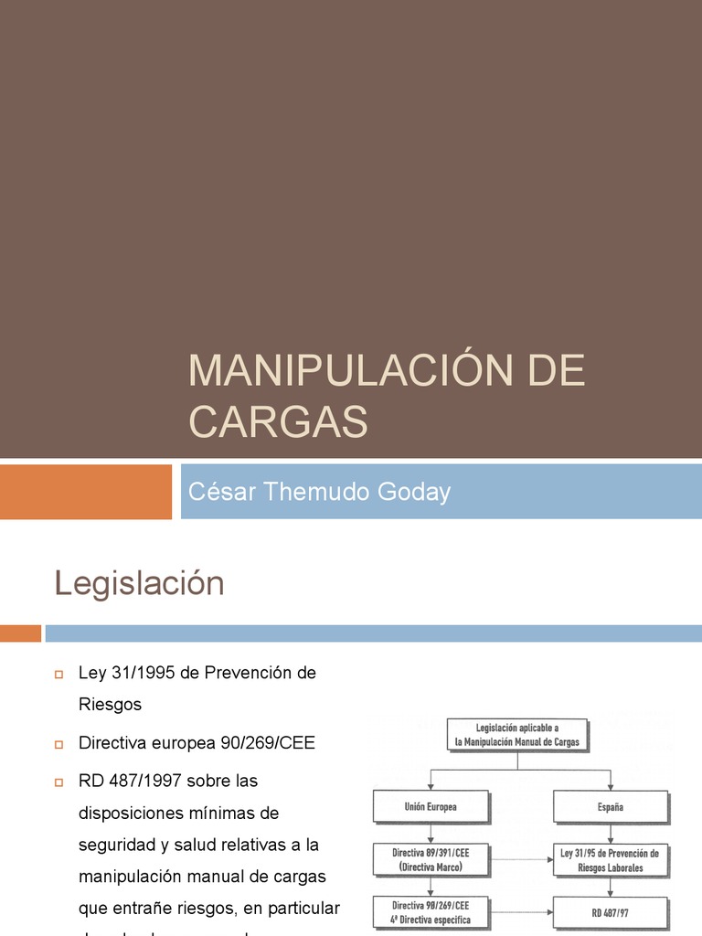 Prevención en Manipulación de Cargas | PDF | Factores humanos y ...