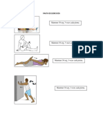 Pauta de Ejercicios Rodilla