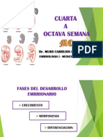 CUARTA A OCTAVA SEMANA.pdf